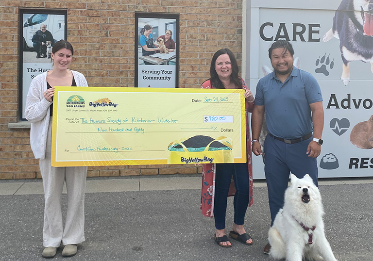 Glandbrook Comm-Serv