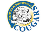 hespeler public school council