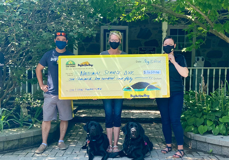 national service-dogs